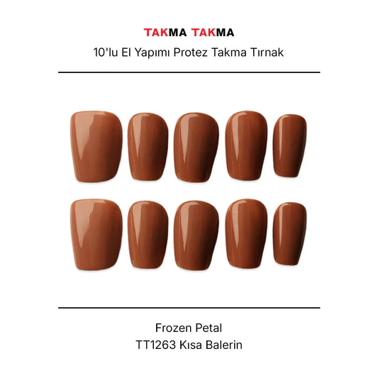 Tekrar Kullanılabilir El Yapımı Protez Takma Tırnak TT1263 Frozen Petal 10'lu